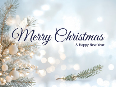 Merry Christmas 2025 - Miniaturansicht